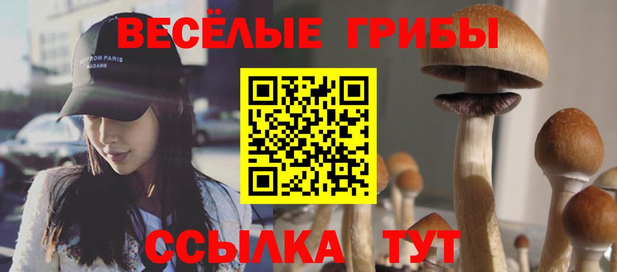 Галлюциногенные грибы Psilocybine cubensis  Вход с VPN  Псилоцибиновые грибы Psilocybe  Тихвин 