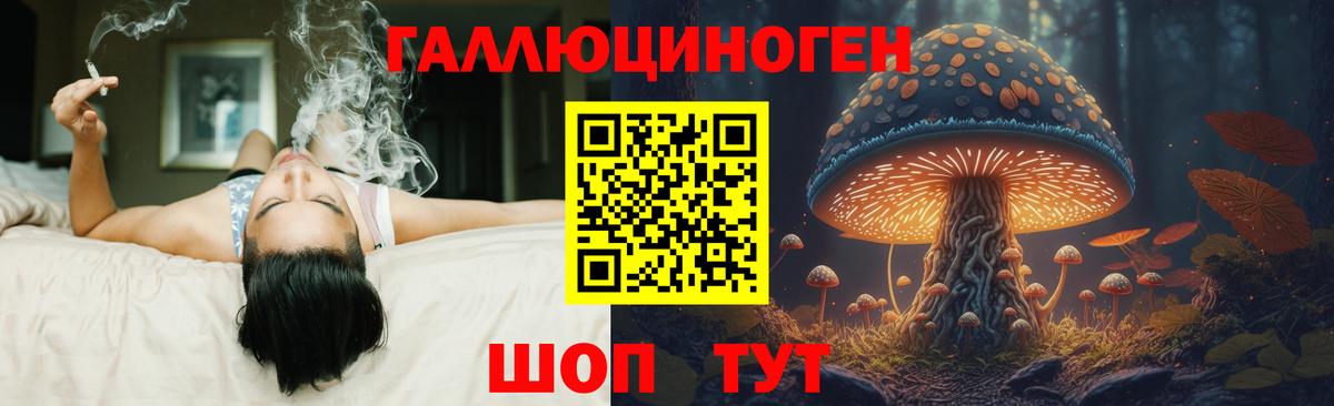 Галлюциногенные грибы прущие грибы Тихвин